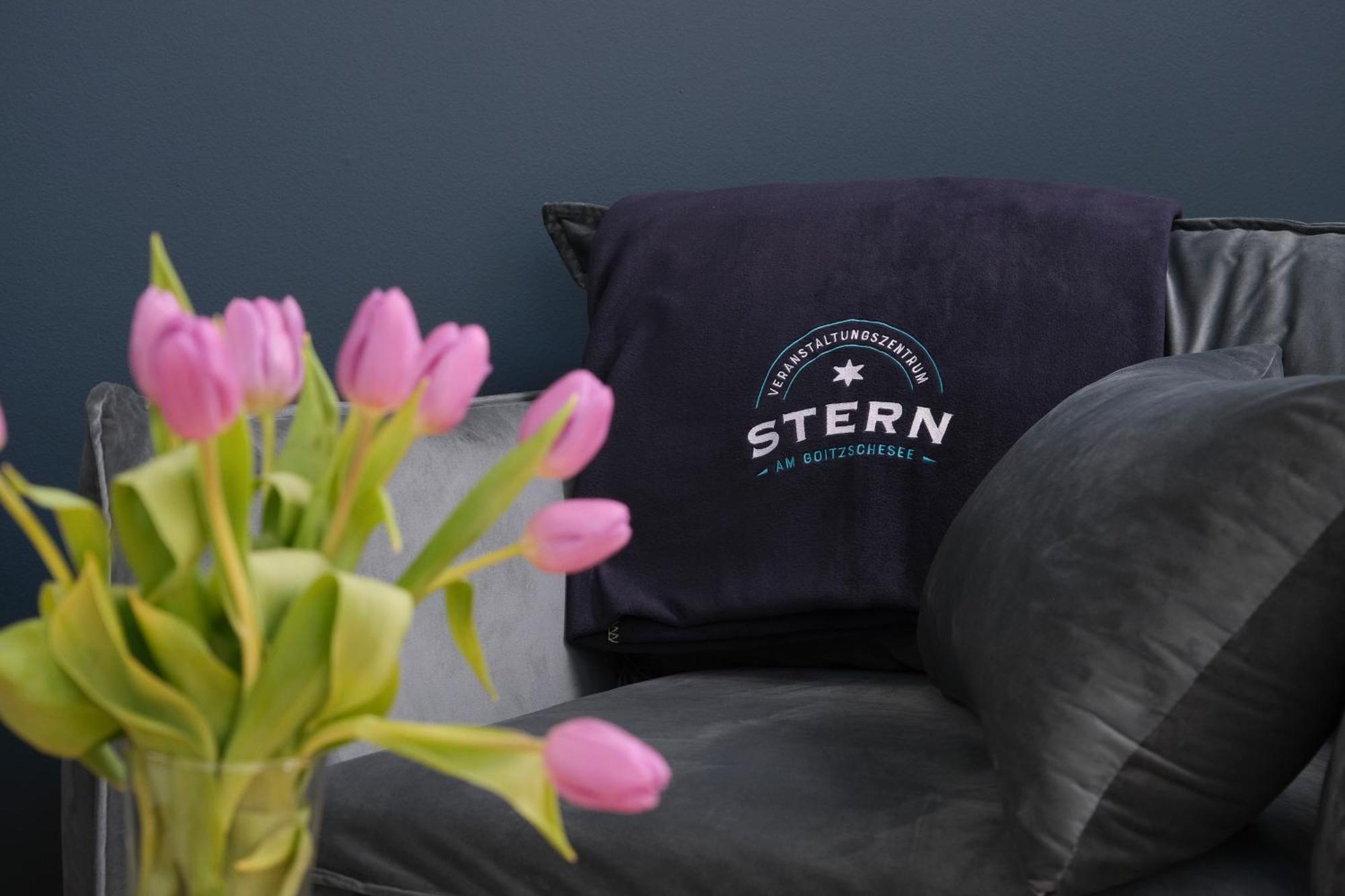 Ferienapartments Im Stern Friedersdorf *